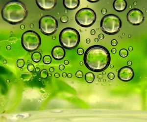 recyclage de l'huile de friture en bio carburant