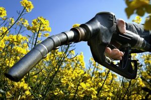 bio carburant huile recyclée