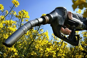 recyclage de l'huile de friture en bio carburant