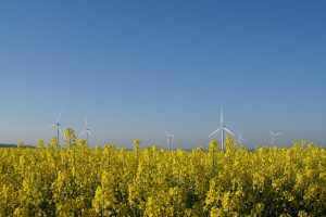 Biocarburant de première génération